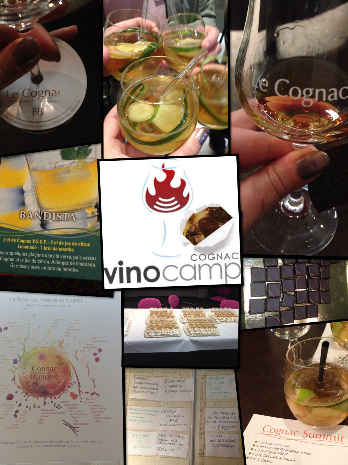 Le Vinocamp Cognac 2013 en images