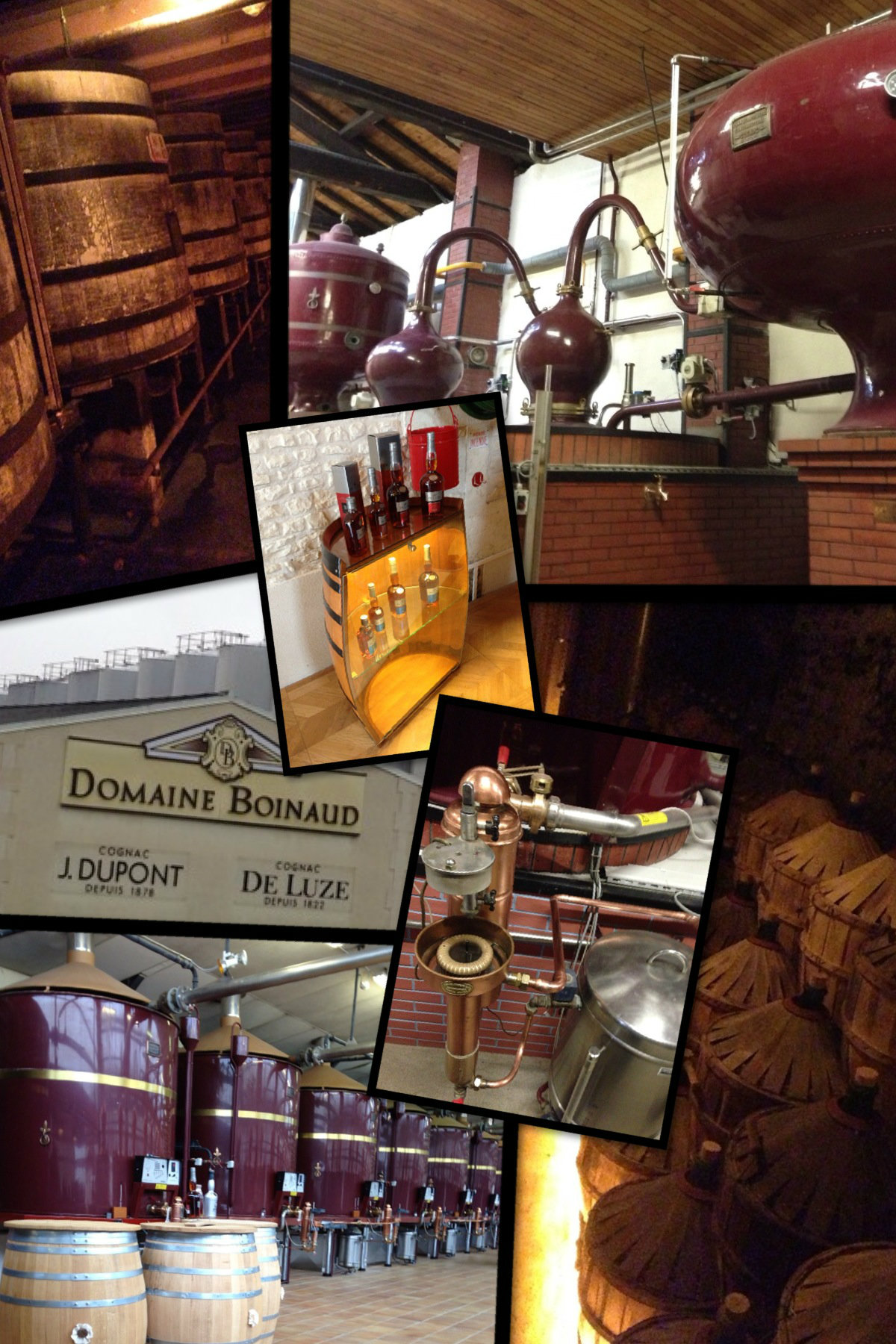 Visite domaine Boinaud - cognac De Luze - Vinocamp Cognac 2013