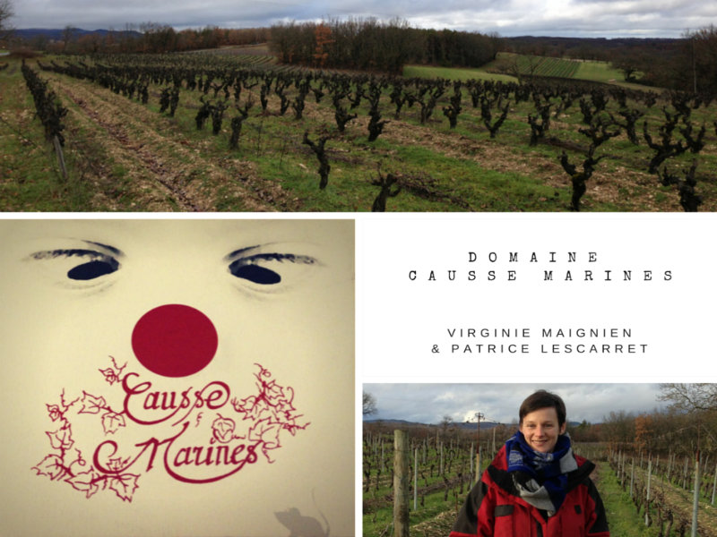 Montage photo - Virginie Maignien - Domaine Causse Marines - Gaillac