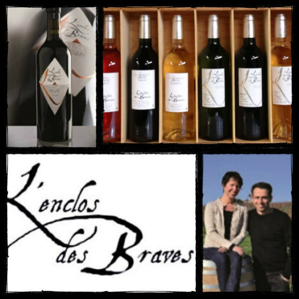 Photo des vins dégustés au domaine L'Enclos des Braves - Gaillac