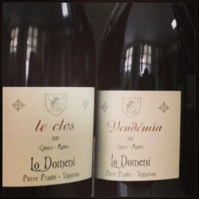 Vins domaine Lo Domeni