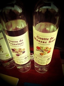 Liqueurs artisanales de Laurent Cazottes - Gaillac