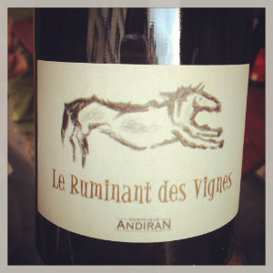 Ruminant des Vignes - Dominique Andiran