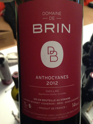 Anthocyanes---Domaine-de-Brin---Gaillac