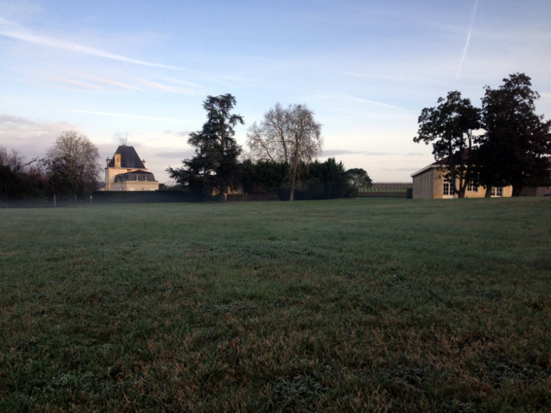 Balade matinale dans le parc du Château Larrivet Haut Brion - Pessac Léognan