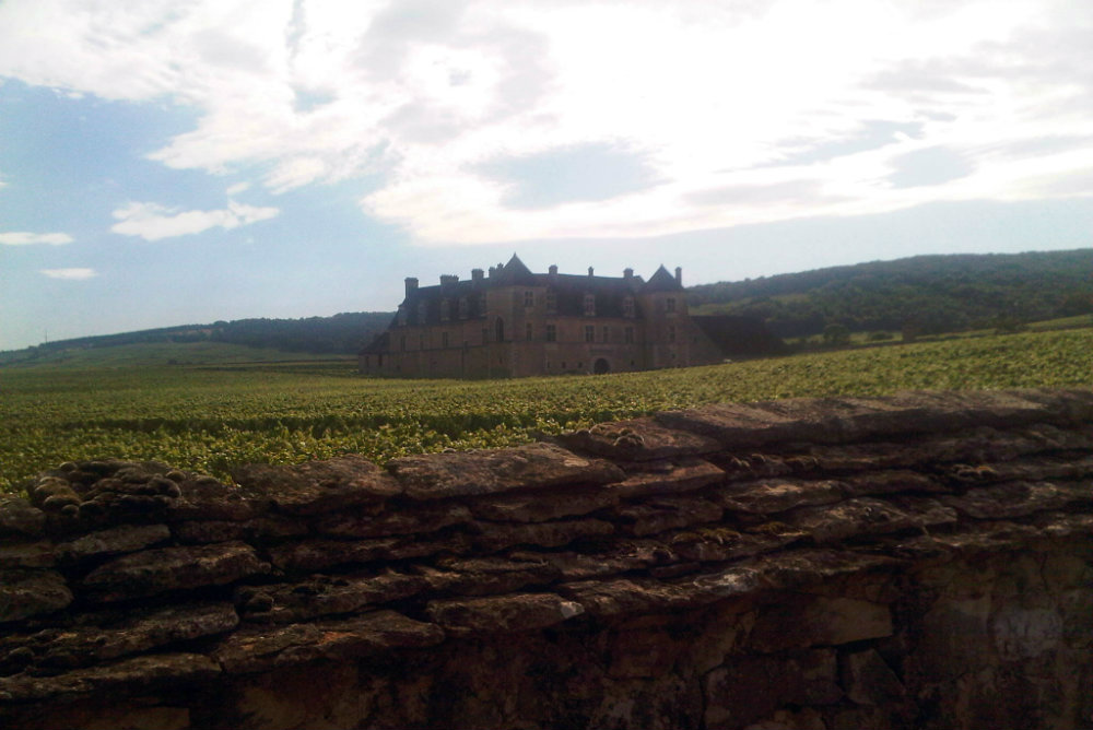 Clos de Vougeot (photo prise en été lors d'un précédent séjour en Bourgogne)