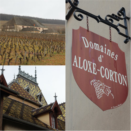 Dégustation Terroirs de Corton à Aloxe-Corton - Grands Jours de Bourgogne 2016
