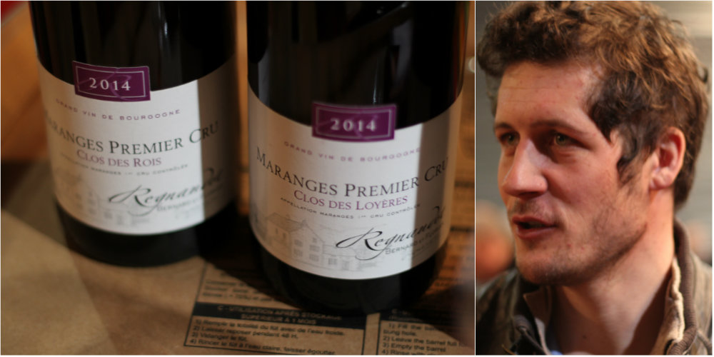 Vins du Domaine Regnaudot Bernard et Florian - Maranges - Grands Jours de Bourgogne 2016