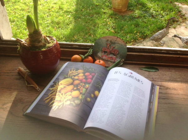 Exemple photo de Sandra Mahut dans Du pain du vin des oursins