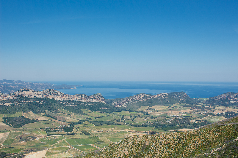 Patrimonio vue de la route d'Oletta