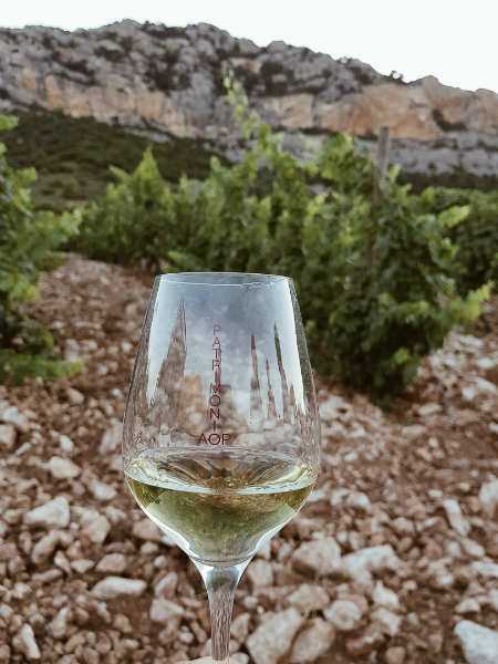 Verre vignes Patrimonio